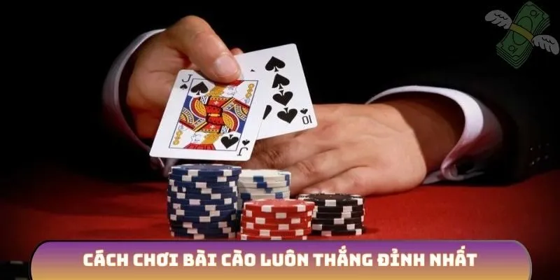 Cách chơi bài cào luôn thắng đỉnh nhất