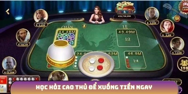 Học hỏi cao thủ để xuống tiền ngay