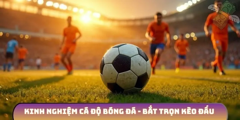 Kinh nghiệm cá độ bóng đá