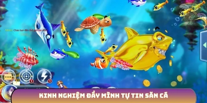 Kinh nghiệm đầy mình tự tin săn cá