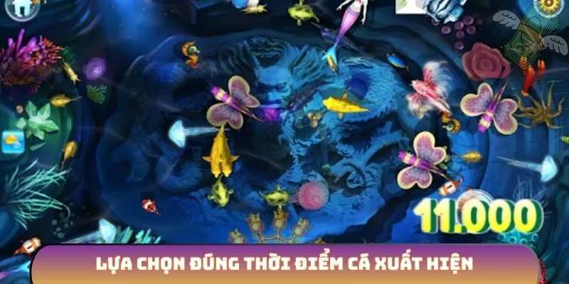 Lựa chọn đúng thời điểm cá xuất hiện