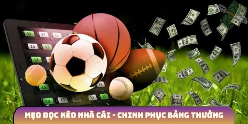 Mẹo đọc kèo nhà cái