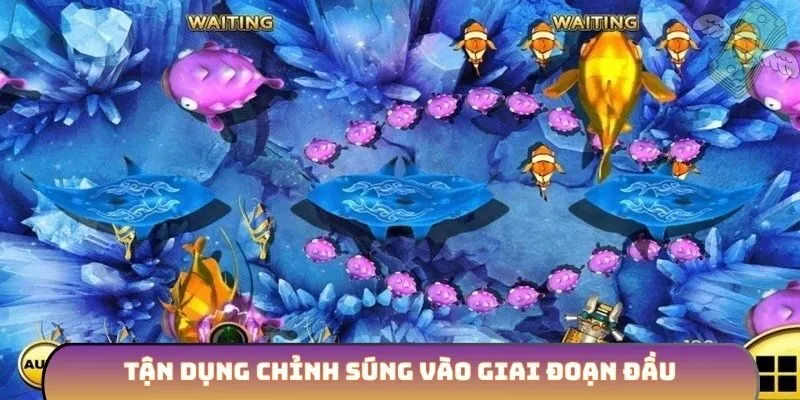 Tận dụng chỉnh súng vào giai đoạn đầu